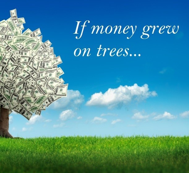 Березка деньги. Денежное дерево инвестиции. Картинка дерево с деньгами. Денежное дерево фото на телефон. Money doesn't grow on Trees.